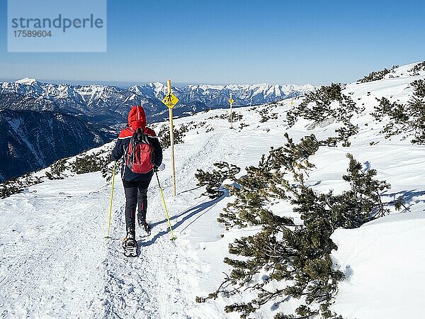 Blauer Himmel über Winterlandschaft  Schneeschuhwanderin bei Hinweistafel am Five Fingers trail  Krippenstein  Salzkammergutt  Oberösterreich  Österreich  Europa