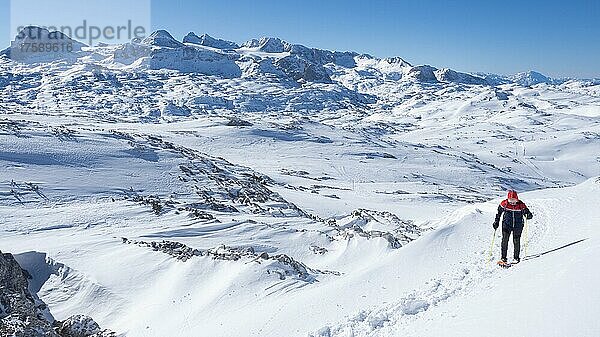 Schneeschuhwanderin  blauer Himmel über Winterlandschaft  Skigebiet Freesports Arena Dachstein Krippenstein  Krippenstein  Salzkammergut  Oberösterreich  Österreich  Europa