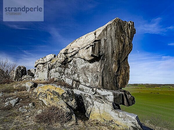 Felsformation Mittelsteine  Naturschutzgebiet Teufelsmauer  bei Weddersleben  Harz  Sachsen-Anhalt  Deutschland  Europa