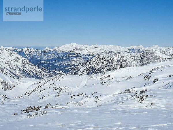 Blauer Himmel über Winterlandschaft  Aussicht vom Krippenstein auf verschneite Berggipfel  und Gletscher  Salzkammergut  Oberösterreich  Österreich  Europa