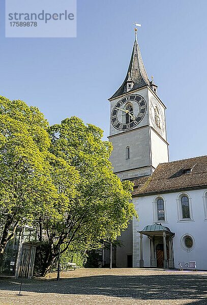 Historische Pfarrkirche St. Peter  Altstadt  Zürich  Schweiz  Europa