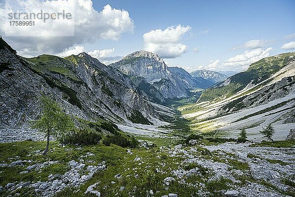 Blick über das Grammaital  Bergtal  Karwendelgebirge  Tirol  Österreich  Europa