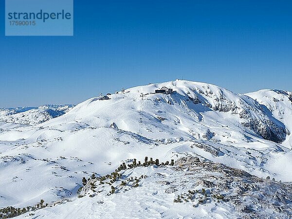 Blauer Himmel über Winterlandschaft  Skigebiet Freesports Arena Dachstein Krippenstein  Krippenstein  am Plateau Bergstation und Krippenstein Lodge  Salzkammergut  Oberösterreich  Österreich  Europa