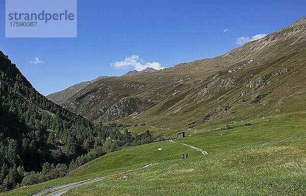 Wanderer wandern auf den Almweiden im Rofental  Vent  Venter Tal  Gemeinde Sölden  Ötztaler Alpen  Tirol  Österreich  Europa