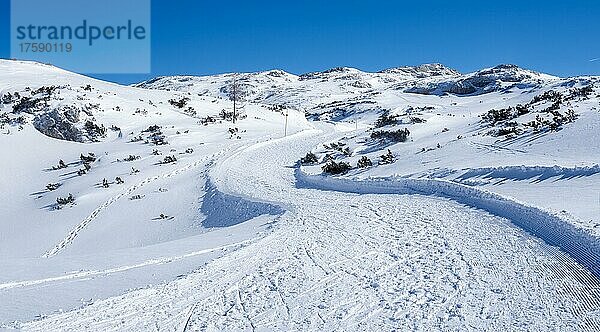 Blauer Himmel über Winterlandschaft  Schneeschuhtrail  hinten schneebedeckte Gipfel  Hochplateau am Krippenstein  Salzkammergut  Oberösterreich  Österreich  Europa