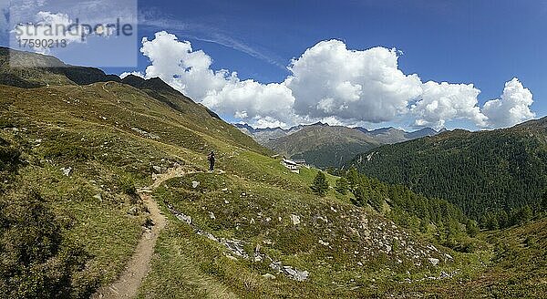 Wanderer am Weg zur Oberglanegg Alm nahe der Timmelsjochstraße  Naturpark Texelgruppe  Passeiertal  Ötztaler Alpen  Südtirol  Italien  Europa