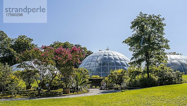 Botanischer Garten  hinten Kuppeln der Gewächshäuser  Zürich  Schweiz  Europa