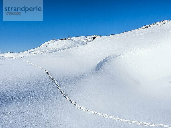 Blauer Himmel über Winterlandschaft  Spuren von Schneeschuhen im Schnee  verschneites Hochplateau  Krippenstein  Salzkammergut  Oberösterreich  Österreich  Europa