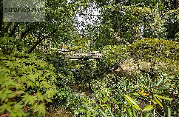 Brücke über einen angelegten Bach  dicht bewachsener Garten  Japanischer Garten  Portland  Oregon  USA  Nordamerika