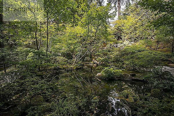 Angelegter Teich in dicht bewachsenem Garten  Japanischer Garten  Portland  Oregon  USA  Nordamerika