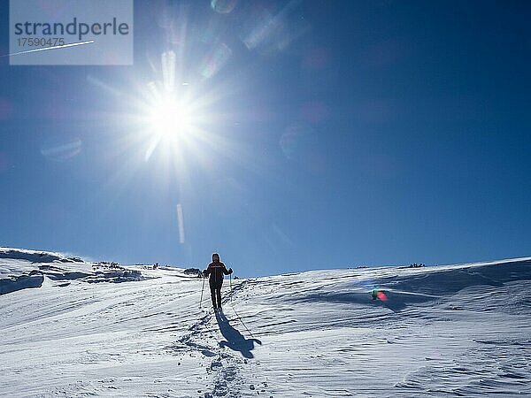 Blauer Himmel über Winterlandschaft  Schneeschuhwanderin am Krippenstein  Salzkammergut  Oberösterreich  Österreich  Europa