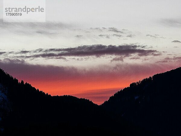 Silhouette von Bäumen vor Wolken im Morgenrot bei Sonnenaufgang  Leoben  Steiermark  Österreich  Europa