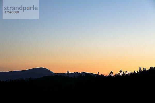 Blick im Morgenlicht auf den Belchen im Schwarzwald  Todtnauberg  Baden-Württemberg  Deutschland  Europa
