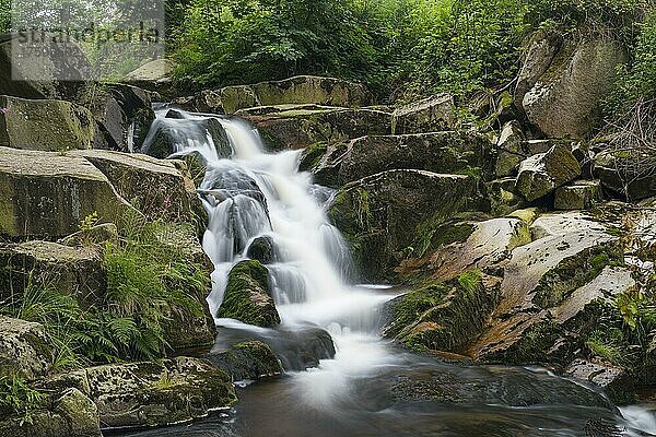 Obere Ilsefälle  Wasserfälle der Ilse  Ilsetal im Nationalpark Harz  Sachsen-Anhalt  Deutschland  Europa