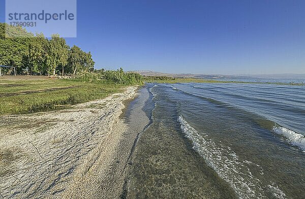Strand bei Migdal  See Genezareth  Israel  Asien