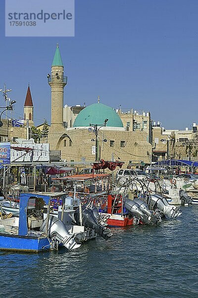 Marina und Fischereihafen  Akko  Israel  Asien