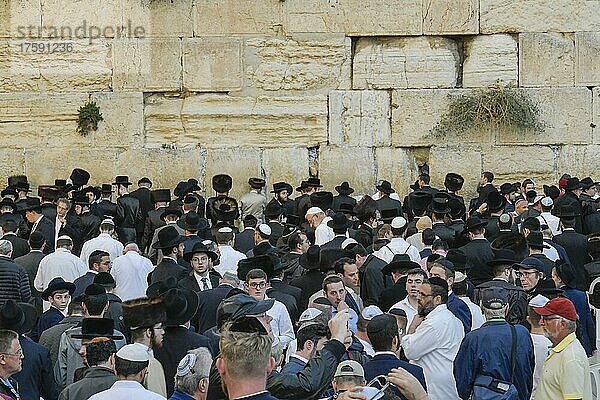 Gläubige Juden  Klagemauer  Jerusalem  Israel  Asien