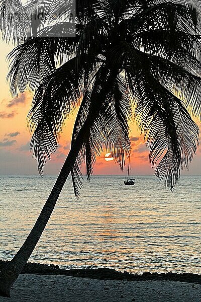 Silhouette von Palm  Boot  Strand  Sonnenuntergang  Hotel  Bungalowanlage  Maria la Gorda  Provinz Pinar del Rio  Kuba  Karibik  Mittelamerika