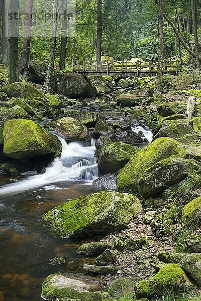 Gebirgsfluss Ilse  Wanderweg mit Brücke im Ilsetal  Nationalpark Harz  Sachsen-Anhalt  Deutschland  Europa