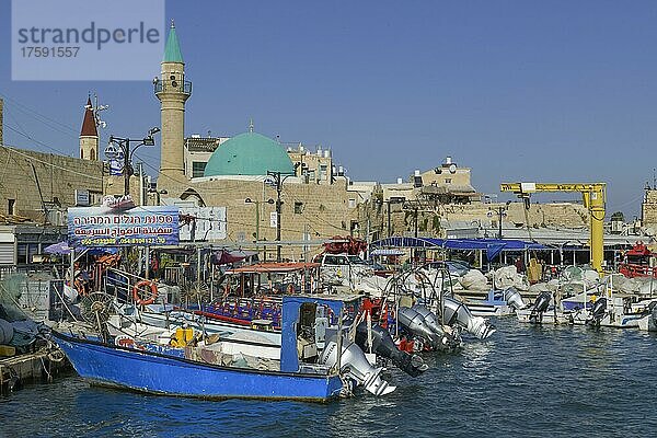 Marina und Fischereihafen  Akko  Israel  Asien