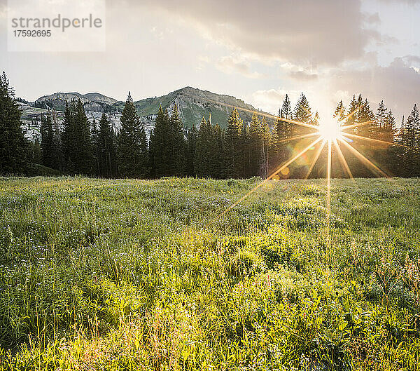 Vereinigte Staaten  Utah  Alpen  grüne Wiesen- und Berglandschaft bei Sonnenuntergang