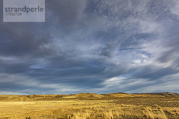 Vereinigte Staaten  Nevada  Winnemucca  goldenes Grasland und stürmischer Himmel