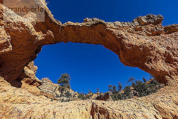 Vereinigte Staaten  Utah  Bryce-Canyon-Nationalpark  natürliche Sandsteinbogenformation