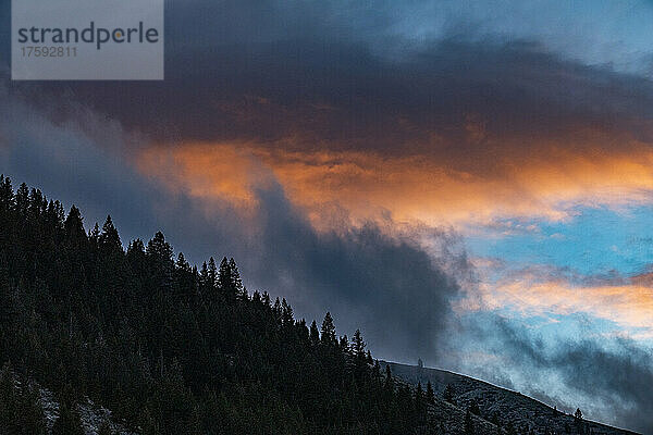 Vereinigte Staaten  Idaho  Bellevue  Wolken über dem Wald bei Sonnenuntergang