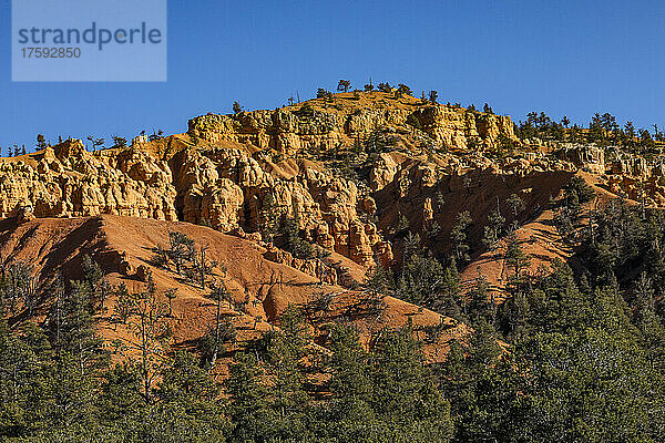 Vereinigte Staaten  Utah  Bryce-Canyon-Nationalpark  Hoodoo-Felsformationen