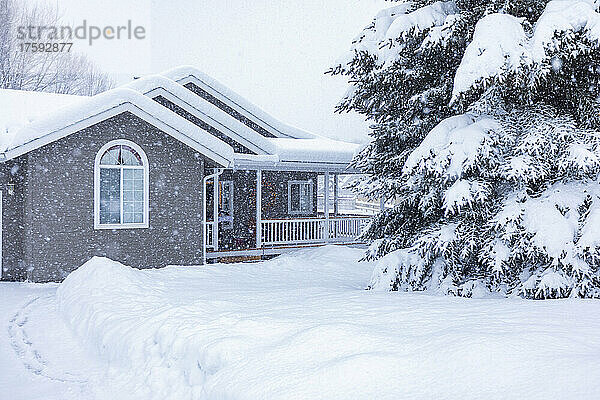 Vereinigte Staaten  Idaho  Bellevue  Haus- und Tannenbäume mit Neuschnee bedeckt