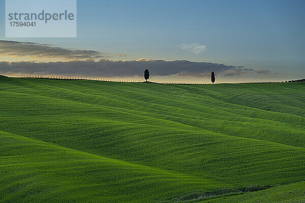 Italien  Provinz Siena  Grüne Hügel des Val dOrcia in der Frühlingsdämmerung