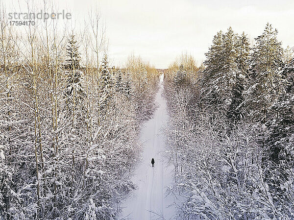 Luftaufnahme einer Wanderin  die im schneebedeckten Wald spaziert