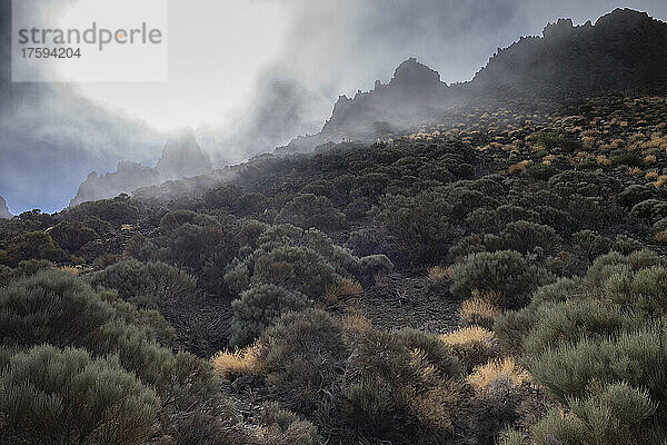 Nebel über der Vulkanlandschaft im Nationalpark El Teide  Teneriffa  Kanarische Inseln  Spanien
