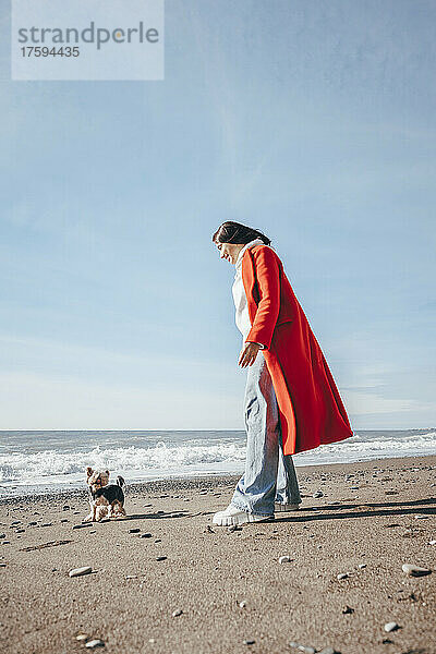 Junge Frau spielt mit Hund am Strand