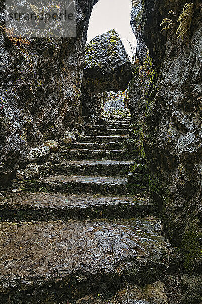 Steps carved in stone in mountains of North Caucasus