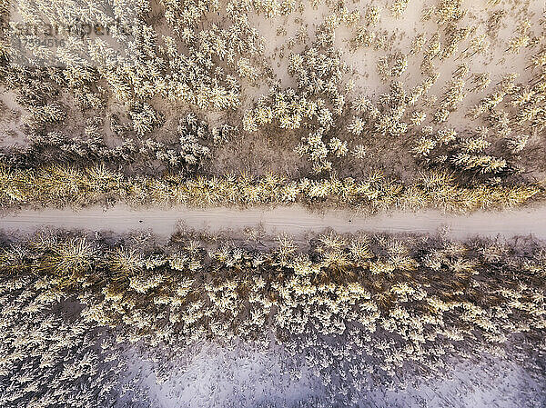 Luftaufnahme der Straße im schneebedeckten Wald