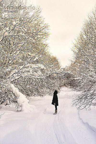 Female hiker standing in middle of snow covered forest road