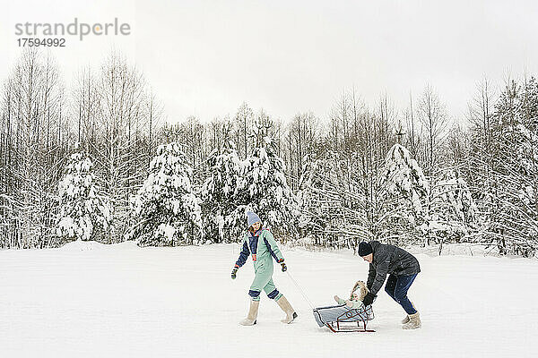 Vater schiebt Tochter auf Schlitten  während Frau im Winter auf Schnee läuft