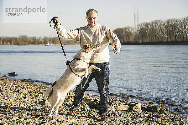 Glücklicher älterer Mann  der an einem sonnigen Tag mit Hund am Strand spielt
