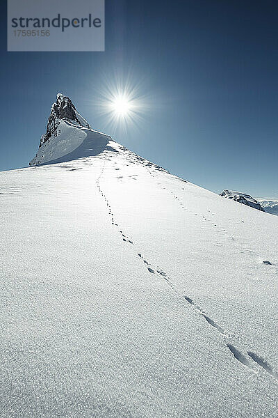 Hasenspuren entlang schneebedeckter Gipfel im Rofangebirge