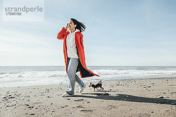 Lächelnde Frau  die an einem sonnigen Tag mit einem Yorkshire-Terrier am Strand spaziert