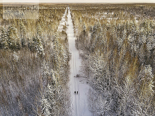 Aerial view of two hikers walking together along snow covered forest road
