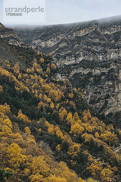 Russland  Dagestan  bewaldeter Bergrücken im Herbst