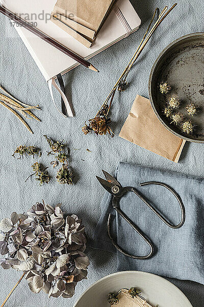 Studio shot of note pad  pencil  scissors and some dried seeds and flowers