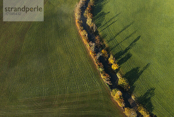 Drone view of countryside field and treelined river at autumn morning