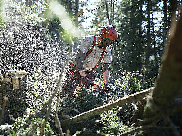 Junger Holzfäller schneidet Baum mit elektrischer Säge im Wald