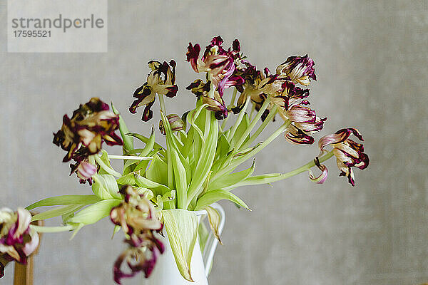 Verwelkte Tulpen in der Vase zu Hause