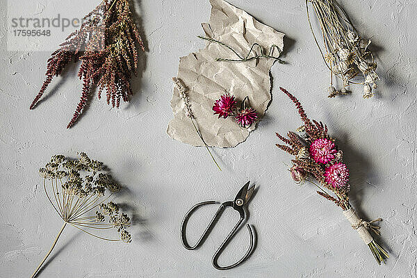 Studio shot of scissors  piece of paper and various dried flowers flat laid against white background