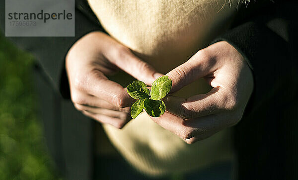 Junge Frau hält grünes vierblättriges Kleeblatt
