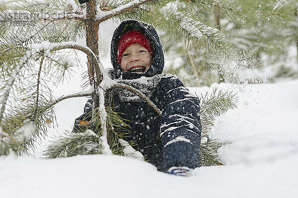 Fröhlicher Junge genießt den Tannenbaum im verschneiten Wald
